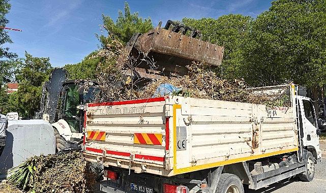 Güçlü Adımlarla Bornova: Yaz Temizliğiyle Hem Güzellik Hem Güvenlik Bir Arada