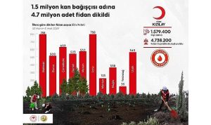 Hastaya Kan, Ormana Can: Gönüllü Kan Bağışıyla Ağaçlandırma Hedefi Büyüyor