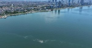 İzmir Körfezi’nde Kirlilik Alarmı: Dronla İzlenen Sistematik Tehdit ve Yetkili Kurumların Acil Eylem Çağrısı