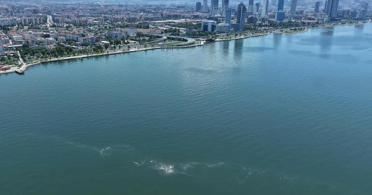 İzmir Körfezi’nde Kirlilik Alarmı: Dronla İzlenen Sistematik Tehdit ve Yetkili Kurumların Acil Eylem Çağrısı