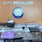İzmir’de Büyük Uyuşturucu Operasyonu: 371 Kilogram Skunk ve Esrar Ele Geçirildi, 1 Şüpheli Gözaltında