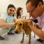 İzmir’in Umut Işığı: Engelli Hizmet Merkezi’nde Sahiplendirilen Bal, Terapi Köpeği ve Yuvaya Dönüşün Öyküsü