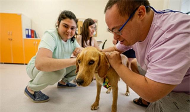 İzmir’in Umut Işığı: Engelli Hizmet Merkezi’nde Sahiplendirilen Bal, Terapi Köpeği ve Yuvaya Dönüşün Öyküsü