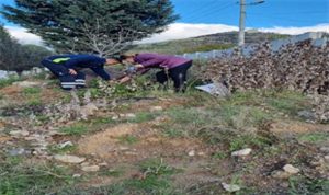 İzmir’in Yeşil Dönüşüm: Su ve Enerji Tasarrufunda Tarihi Adımlar Atan Belediye