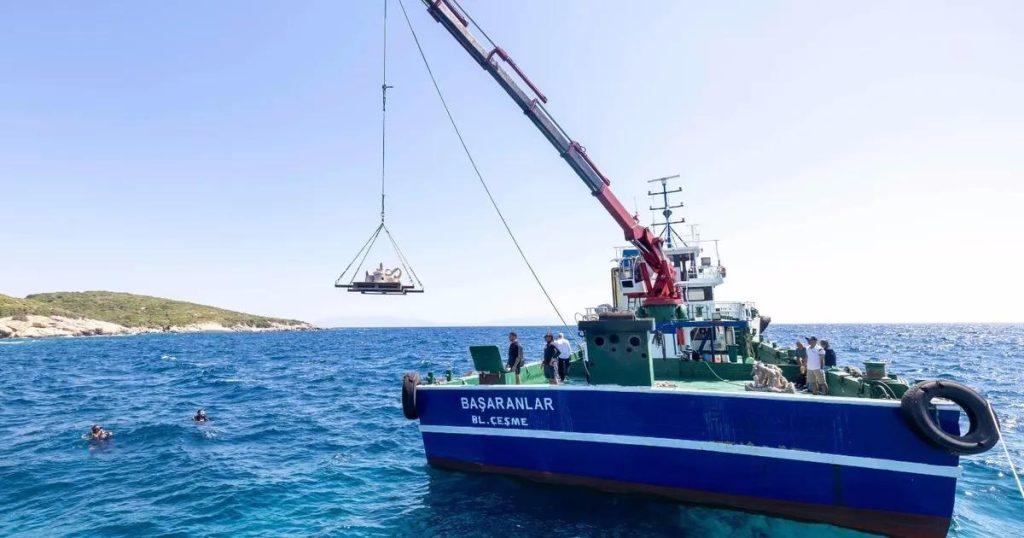 Mavi Ekonomi İçin Yeni Yaşam: Atık Kabuklardan Oluşan Resifler Denizle Buluşuyor