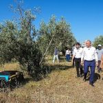 Yabani Ot İstilasına Karşı Teknoloji Gücü: Şehrin Parklarında Robotlu Temizlik Devrimi