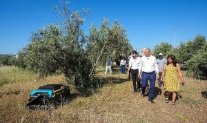 Yabani Ot İstilasına Karşı Teknoloji Gücü: Şehrin Parklarında Robotlu Temizlik Devrimi