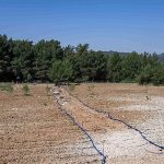 Yakaköy’de Tarımsal Zarafet: Gençler ve İhtiyaç Sahipleri İçin Üretken Girişim, Kent Manavlarıyla Ücretsiz Dağıtım Çağı Başladı
