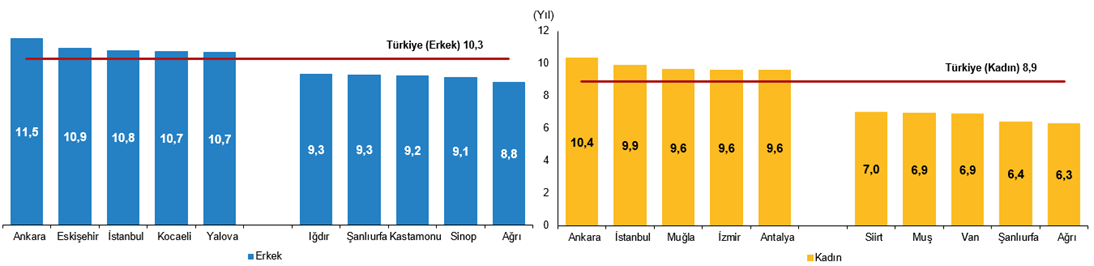 Yükselen Eğitim Görünümü: 25–34 Yaşta Yükseköğretim Mezuniyeti ve Türkiye’nin OECD’ye Yakınlaşmasıyla Gelen Başarı Hikayesi