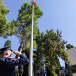 15 Temmuzun Direnişi: Şehit Ailesine Dokunan Anma Töreni ve Vefanın Publica Etkisi