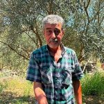 Ayvacık’ın Yüz Yıllık Susuzluğunu Bitiren Büyük Dönüşüm: Verimlik ve Umutla Doğan Tarımın Yeni Günleri