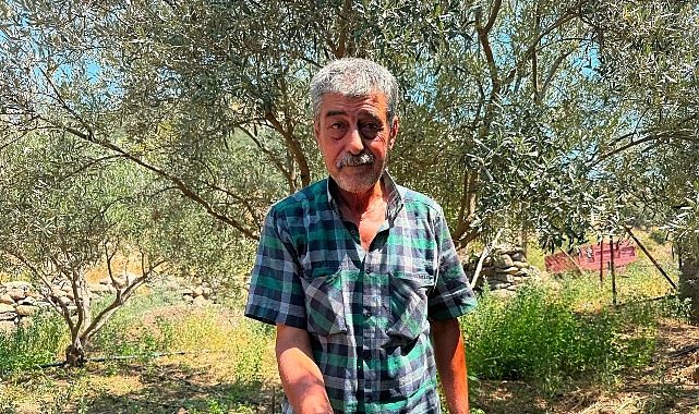 Ayvacık’ın Yüz Yıllık Susuzluğunu Bitiren Büyük Dönüşüm: Verimlik ve Umutla Doğan Tarımın Yeni Günleri