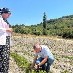 Bornova’da Tarımsal Dönüşüm: Yerel Üreticilere Sürdürülebilir Destek ve Bilimsel Rehberlikyle Güçlenen Gıda Güvencesi