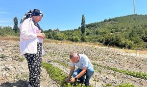 Bornova’da Tarımsal Dönüşüm: Yerel Üreticilere Sürdürülebilir Destek ve Bilimsel Rehberlikyle Güçlenen Gıda Güvencesi