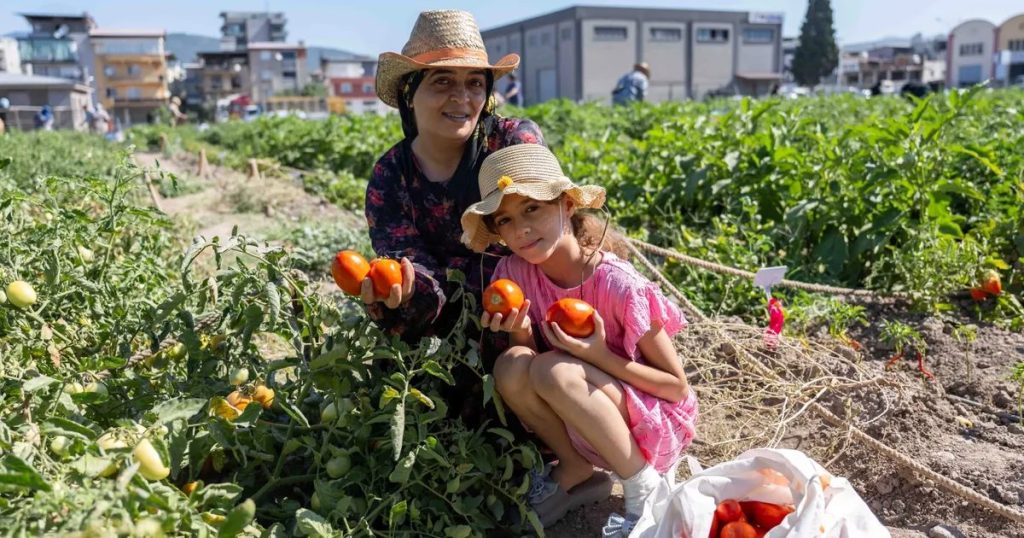 Bornova’nın Kent Bostanlarıyla Kadın Gücü: Üretim, Dayanışma ve Şehrin Bereketi