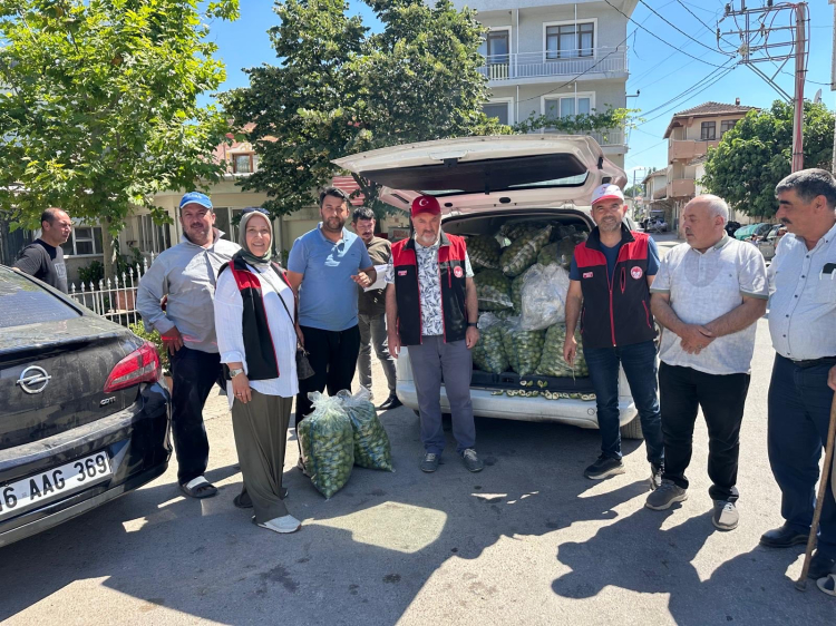 Bursa Siyah İnciri İçin İlek Kontrolleri Başladı: Hasat Öncesi Güçlü Hazırlıklar