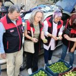 Bursa Siyah İnciri İçin İlek Kontrolleri Başladı: Hasat Öncesi Güçlü Hazırlıklar