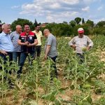 Devlet ve Kurumlar Sahada: Keşan’da Yağış ve Fırtınanın Etkilediği Dişbudak Köyü için Harekete Geçildi