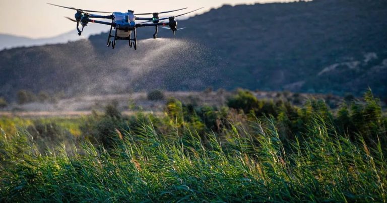 Gediz Deltası’nda Doğayı Korumak İçin Sivrisineklerle Bilimsel Mücadele: Dronlar ve Biyolojik Yaklaşım