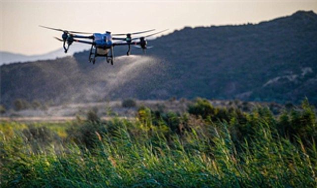 Gediz Deltası’nın Sivrisineklerle Mücadelesinde Doğayla Uyumlu Yenilikçi Yol: Dronlar ve Biyolojik Yöntemler Birleşiyor