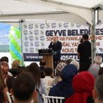 Geyve’nin Sokak Dostlarına Yeni Umut: Bakımevi ve Doğal Yaşam Alanıyla Yükselen Yaşam Kalitesi