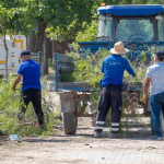 İnciraltı Kent Ormanı’nda Değişime Yolculuk: Güvenlik, Konfor ve Doğayla Yeniden Buluşma