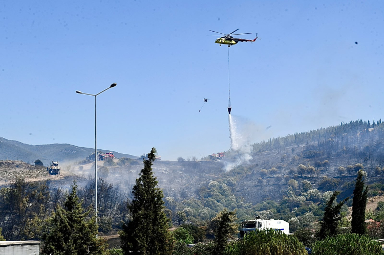 İzmir'de Ormanlık Alanda Başlayan Yangın Kontrol Altına Alınıyor: Ekipler Hızla Müdahale Etti