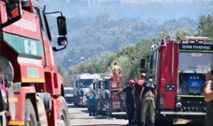 İzmir’de Sıcak Hava ve Kuvvetli Rüzgarın Ardındaki Söndürme Mücadelesi: Bornova Erzene’de Orman Yangınına Hızlı Müdahale ve Bölgesel Kurtarma Hikayesi