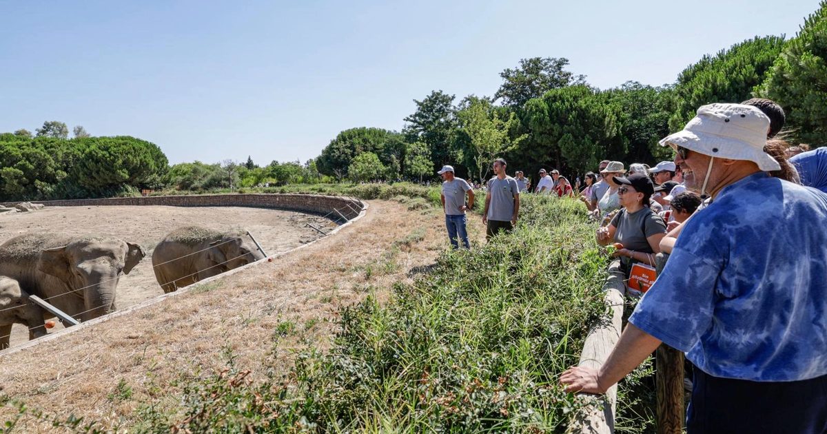 İzmir’den Doğa ve Aileye Dolu Dolu Bir Gün: 200 Kişilik Gezide Hayvanlar Öğrenmenin Keyfini Yaşadı