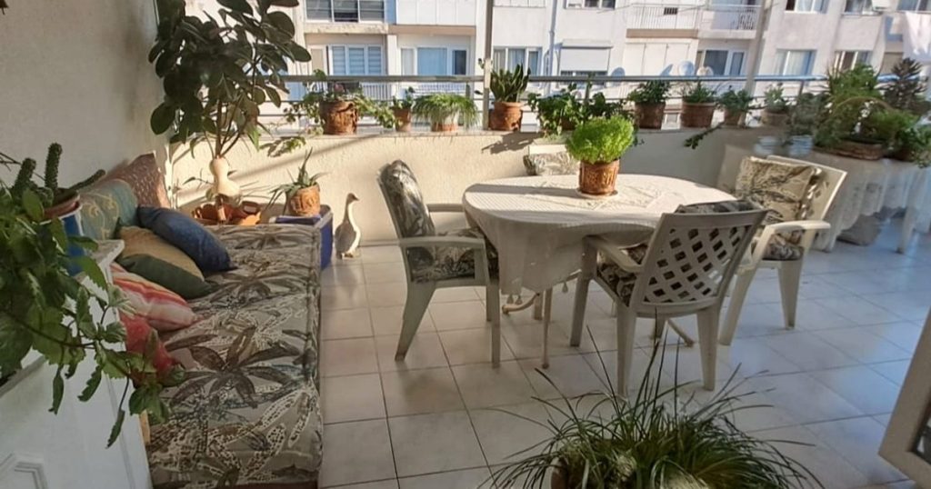 İzmir’in Karabağlar’ında Balkonlara Can Veren Yarışma Şöleni: Doğa ve İnsan Enerjisi Bir Arada