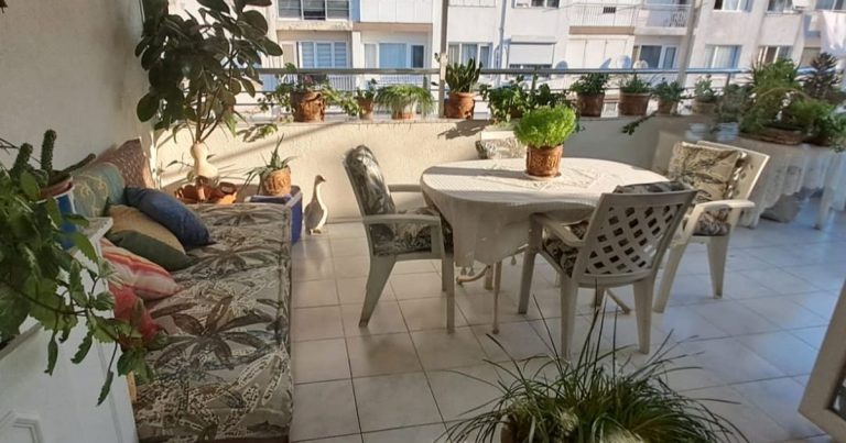 İzmir’in Karabağlar’ında Balkonlara Can Veren Yarışma Şöleni: Doğa ve İnsan Enerjisi Bir Arada