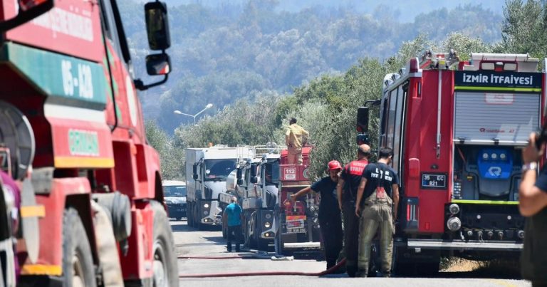 İzmir’in Termal Atışı: Büyük Çaba ve Ayrıntılı Müdahaleyle Kontrol Altına Alınan Orman Yangını