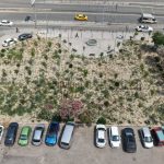 Kentin Kalbinde Yeni Bir Yeşil Alan: Mikro Orman Projesiyle Kemer Yeniden Doğdu