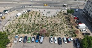 Kentin Kalbinde Yeni Bir Yeşil Alan: Mikro Orman Projesiyle Kemer Yeniden Doğdu