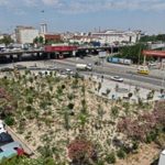 Kentin Kalbinde Yeşilin Yeni Nabzı: Kemer’de Mikro Orman Devrimi