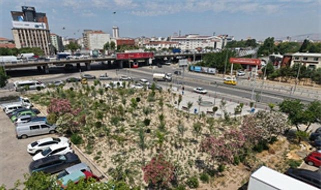 Kentin Kalbinde Yeşilin Yeni Nabzı: Kemer’de Mikro Orman Devrimi