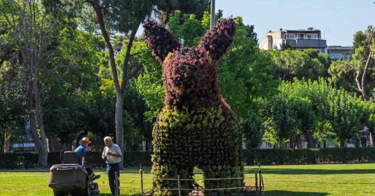 Kültürpark’e Sukulentlerle Hayat Veren Üç Heykel: Ayı, Eşek ve Köpek Doğayla Buluştu