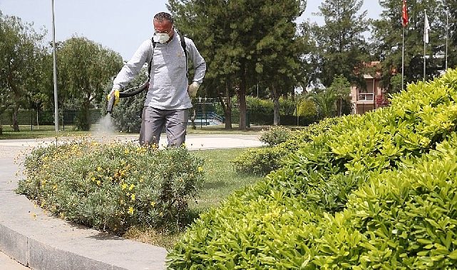 Sonsuz Savaş: Karşıyaka’da Haşere Mücadelesi Yazın En Sıcak Günlerinde Doğa ile El Ele