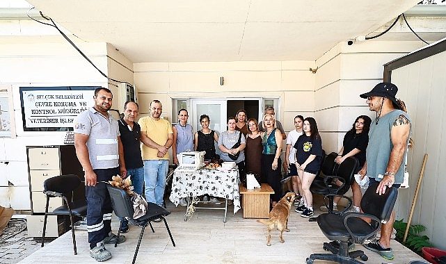 Ultrasonla Umut Verildi: Efes Selçuk’un Sokak Dostları İçin Gönüllü Dayanışmanın Gücü
