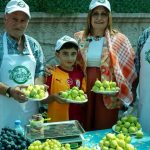 Bardacık İncirinin Coşkusu İzmir’i Sarmalayan Payamlı Festivali: Üreticiler, Zeybek ve Ödüllerle Dolu Anlar