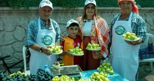 Bardacık İncirinin Coşkusu İzmir’i Sarmalayan Payamlı Festivali: Üreticiler, Zeybek ve Ödüllerle Dolu Anlar