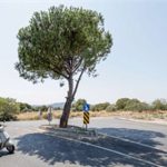 Bergama Yol Güzergahlarında Devrim: 9 Okula Güvenli Ulaşım, Yol Yenilemeleriyle Yükselen Mahalleler ve Sürücü Adayları İçin Yeni Bir Başlangıç