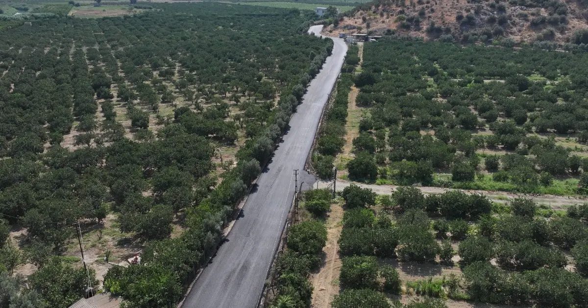 Efes Selçuk’ta 15,5 Kilometrelik Yol Hamlesi: TOKİ ve Zeytinköy’de Yenilenen Güzergâhlar Umut Veriyor