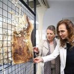 Galeri Alt: Karşıyaka’nın Şehrin Nabzını Tutan Sanat Köprüsü ve Yeni Sezonun Habercisi