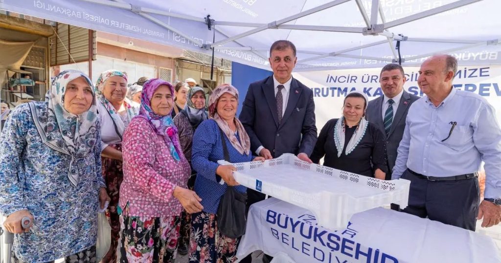 İncir Kerevetleriyle İzmir’de Hasat Sonrası Devrim: Üretici Kazancı Artıyor