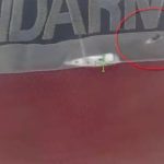 İzmir-Muğla’da Göçmen Kaçakçılığı Operasyonunda Tentürü Kıran Detaylar: 132 Düzensiz Göçmen, 9 Şüpheli ve 4 Tutuklama