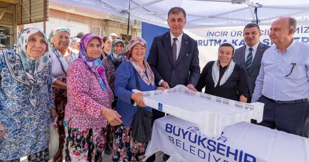 İzmir’in İncirinde Devrim: Kerevetlerle Kayıpsız Hasat ve Artan Gelirler