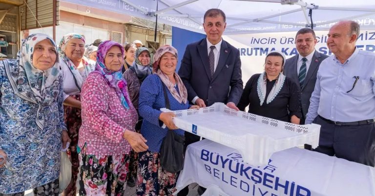 İzmir’in İncirinde Devrim: Kerevetlerle Kayıpsız Hasat ve Artan Gelirler