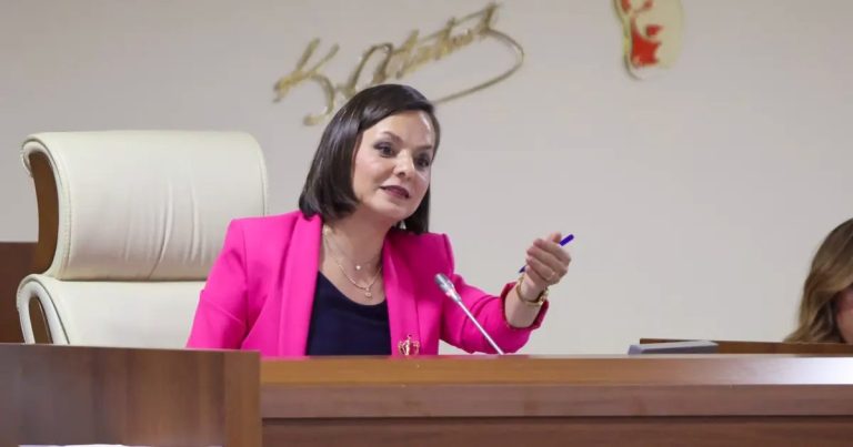 Karabağlar Meclisi Ağustosunda Zamanında Çözüm Çalışmaları ve Atık Sorgulamasıyla Dikkatleri Üzerine Çekti