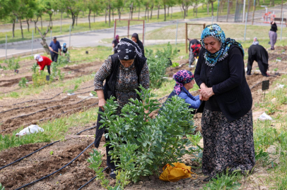 Küçük Alanlarda Büyük Bereket: Kadın Dayanışmasıyla Mahalle Bostanları Gün Yüzüne Çıkıyor